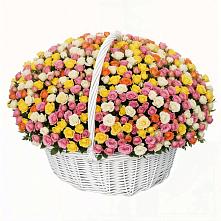 Премиум букет из: Розы #REPLACE_PRED# Красноярском