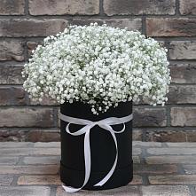 Цветочная композиция из Гипсофила в шляпной коробке в Красноярском
