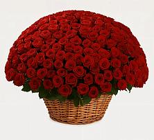 Премиум букет из: Розы #REPLACE_PRED# Красноярском