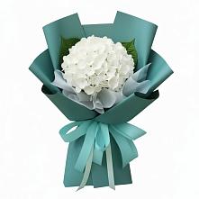 Букет цветов из:  Гортензия в Красноярском